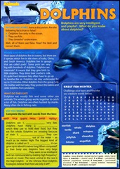 dolphins003